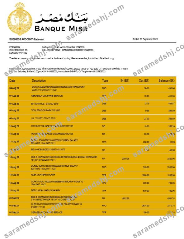 Banque Misr organization checking account statement Word and PDF template